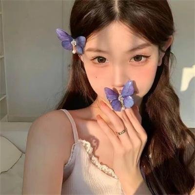 绘图师的合约