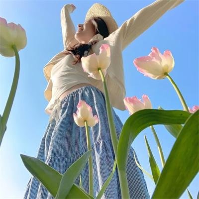 树下藏银